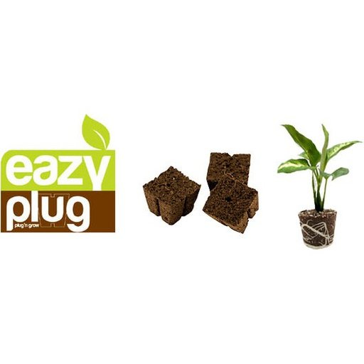 Eazy Plug 'N Grow - Holistic Hydroponics